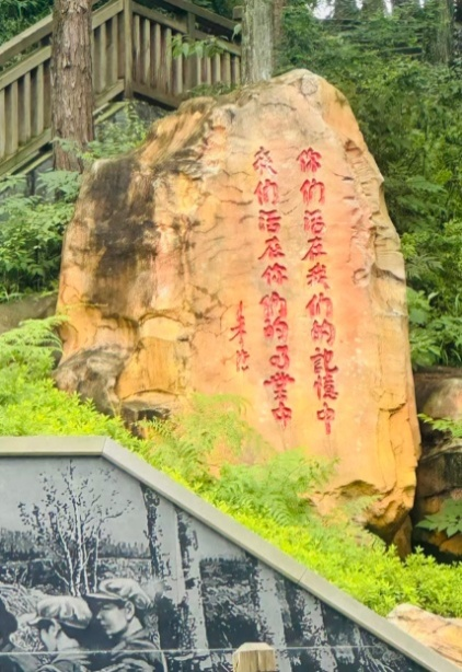 图片15.png
